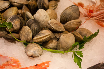 морепродукты © katerina_