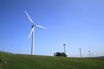 Fototapeta premium 風力発電と青空