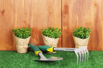 Gardening tools on wooden background