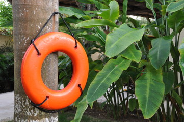 Life saver on post