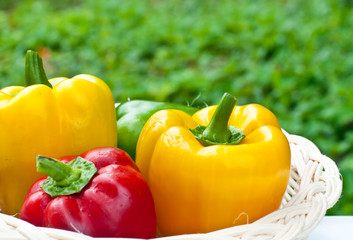 fresh sweet  paprika in wood basket