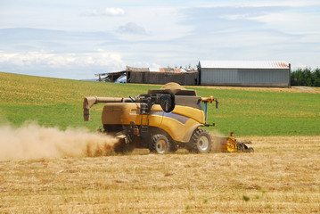 Obraz premium Wheat Combine