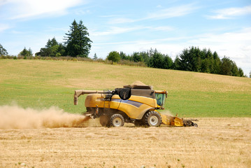 Fototapeta premium Wheat Combine