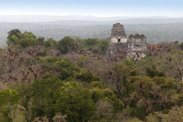 Fototapeta na wymiar Ancient Mayan ruiny w dżungli Tikal