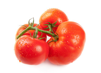 Tomatoes