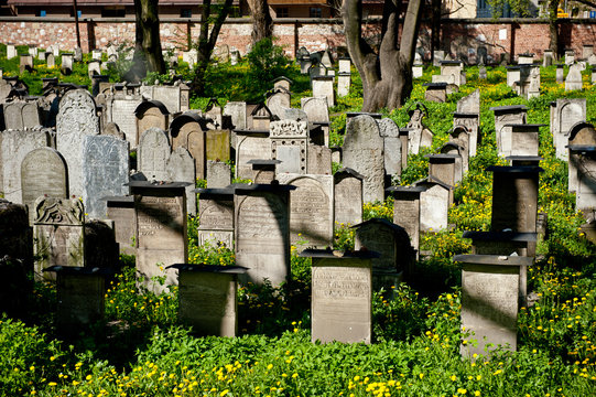Fototapeta The Remuh Jewish Cemetery in Krakow, Poland