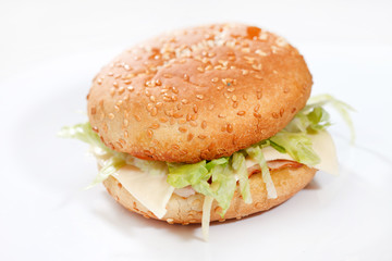cheeseburger on the white plate