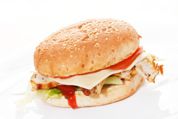 burger on the white