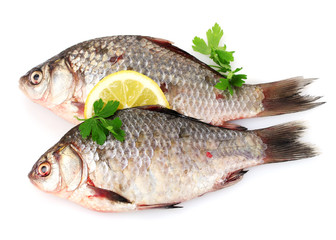 Fresh fishes with lemon and parsley isolated on white