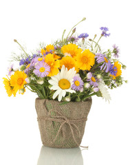 beautiful bouquet of bright  wildflowers in flowerpot, isolated