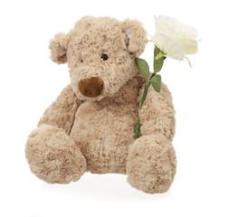 teddy bear with white rose
