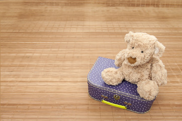 teddy bear seated on a pink suitcase