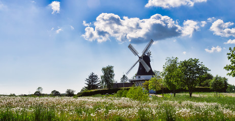 Wind mill in Egeskov, fyn, Denmark © Frankix