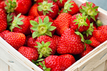Fresh strawberries