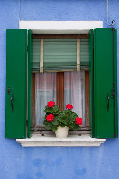finestra con gerani - Burano (Venezia)