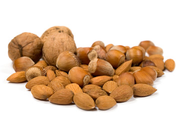 filberts , almonds and walnuts