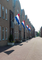 dutch flags