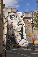 big face murals © nw7.eu
