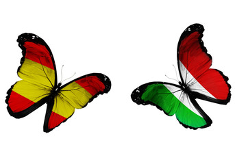 Concept - two butterflies with Spanish and Italian flags flying