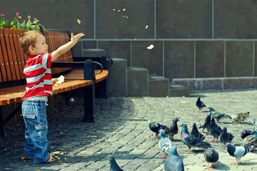 little baby boy feeding birds in town square