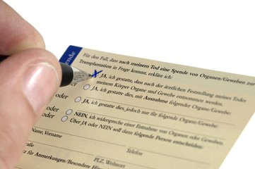 Fototapeta premium Organspende Organspenderausweis