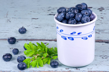 Blueberries in a white mug