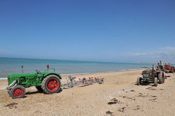 Plage de Hauteville 4