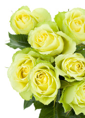 Green roses bouquet