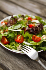 fresh tomato and cucumber salad on a plate