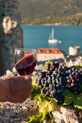 Fototapeta na wymiar Kieliszek wina w kobiecej dłoni i winogron na kamieniu