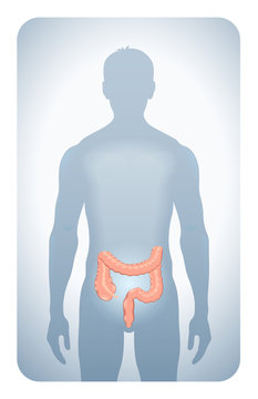 colon highlighted on the silhouette of a man