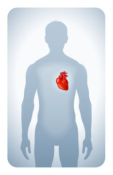 heart highlighted on the silhouette of a man