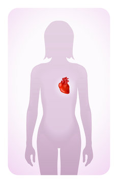 heart highlighted on the silhouette of a woman