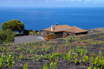 Wiejski kamienny dom pośród winorośli nad oceanem