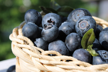 blueberry