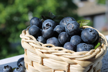 blueberry