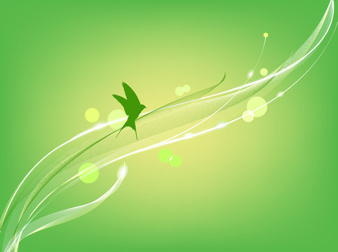 Bird flies on the abstract green background