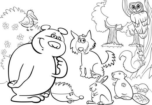 wild forest animals for coloring book