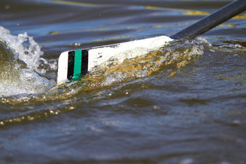 Skull taucht ins Wasser ein