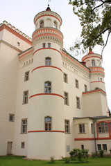 Fototapeta na wymiar Pałac w Wojanowie