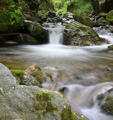 Obraz premium Piccolo torrente