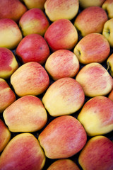 Tight Apples