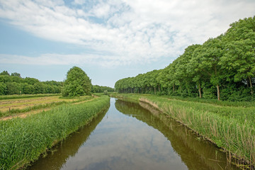 Canal along a forest in spring