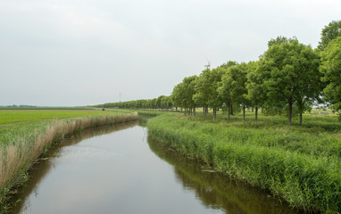 Fototapeta na wymiar Canal and trees in spring