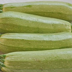 Courgettes zucchini