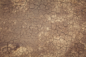 dry land