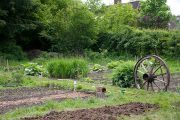 Gemüsegarten