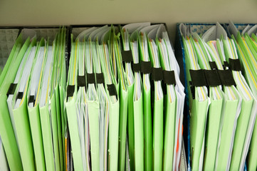 Green File Folder