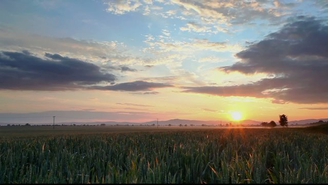 Sunset over agricultural green field - time lapse