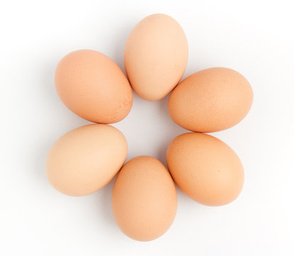 close up of eggs on white background